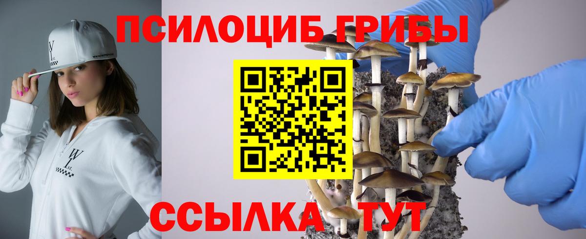 Псилоцибиновые грибы прущие грибы Урюпинск